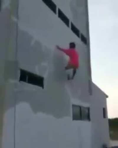 survey corps after killing all titans in paradis