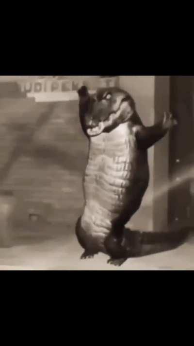 Title ko bache krne hai 