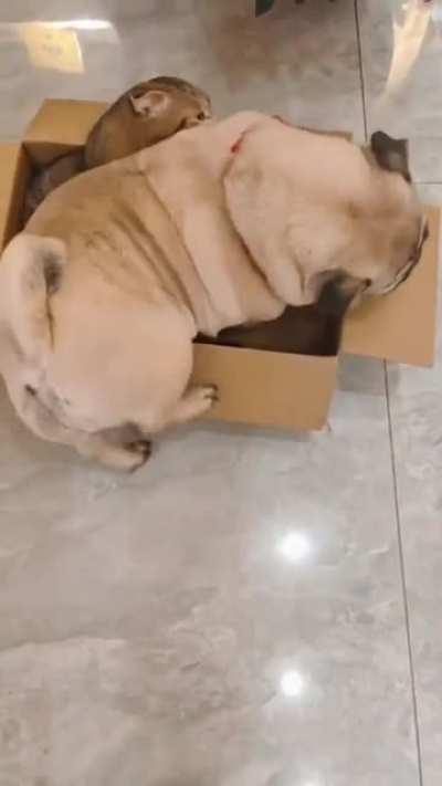 Мне только спросить.