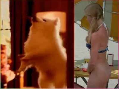 Sandra Bullock vs Amy Adams