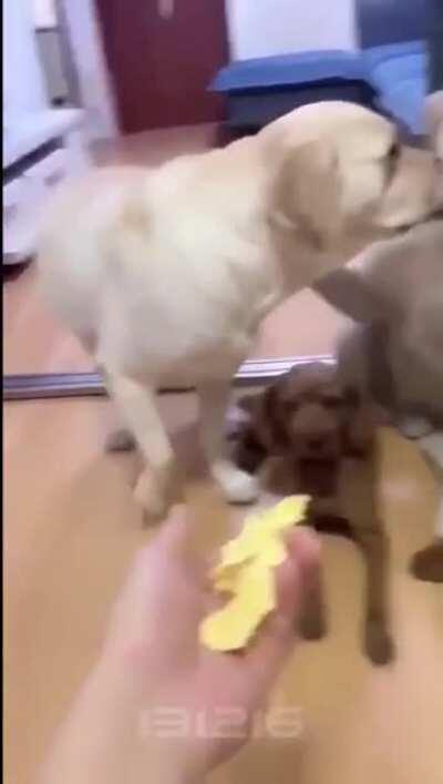 We need a serious investigation now