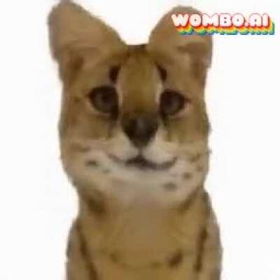 Sogga wants you in his room!! 😳😍