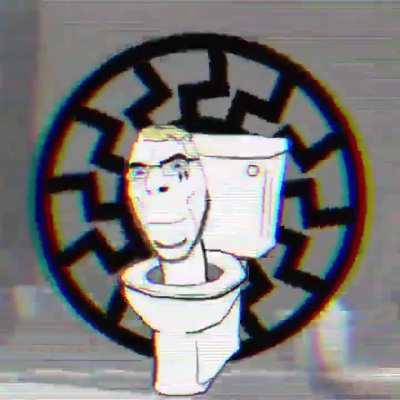 ihaveihaveihave ein volk ein reich ein skibidi