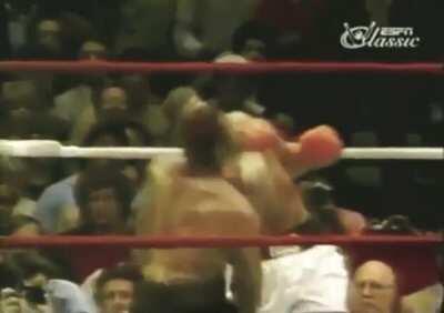 Mike Tyson in his prime, was not a human