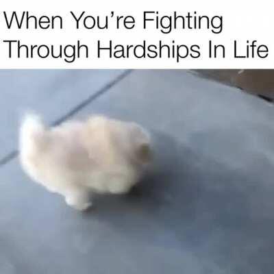 Keep Fighting