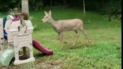 Completely un-phased, entirely deliberate.