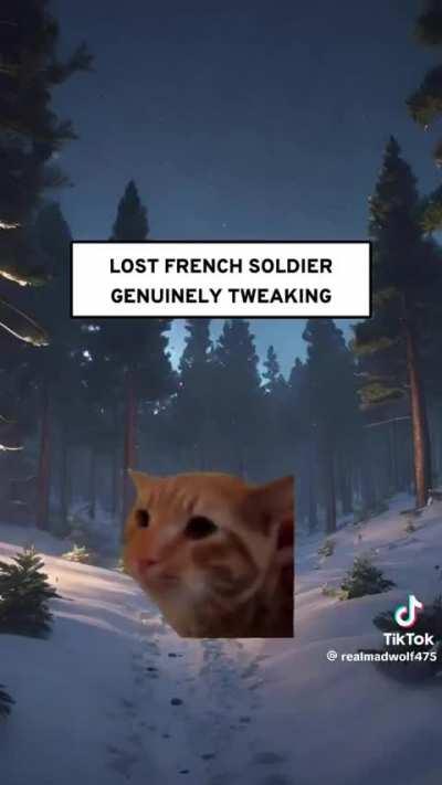 French history with cats