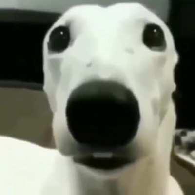 nordestino quando a temperatura abaixa de 65° pra 64°