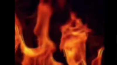 big pharma conspiracy theory: