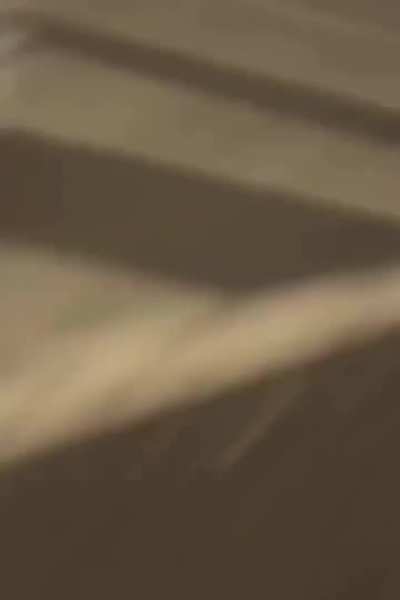 Woman gets shot by law enforcement (LA) trying to get into her apartment.