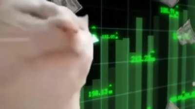 Doge today. Doge tomorrow. Doge forever.