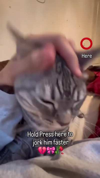 Jork the car 🥀💔