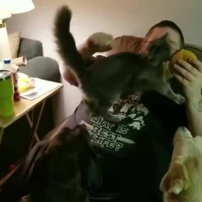 F in chat for burger....