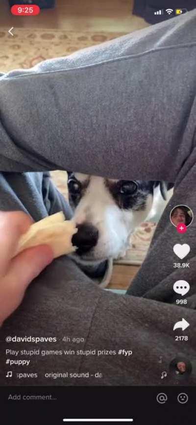 screamed like a girl