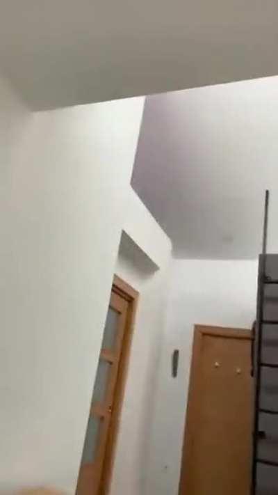 Catculations complete to go upstairs