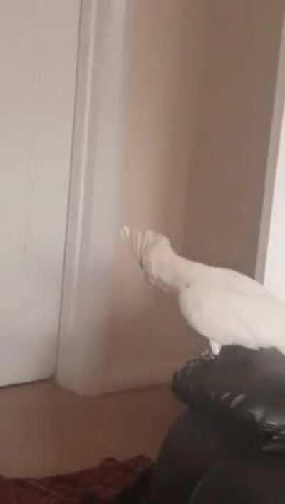 Completely astounded.