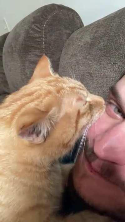 He just rest his teeth on my face. What a weirdo 😹