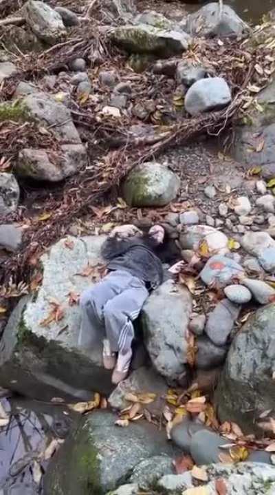 Half scorpion ? 🦂