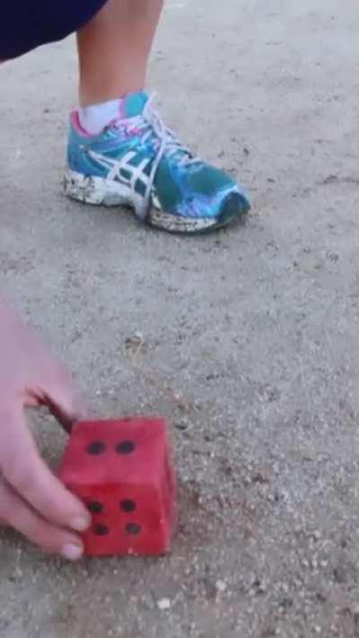 Baby dinosaur showing off some numerical skills!