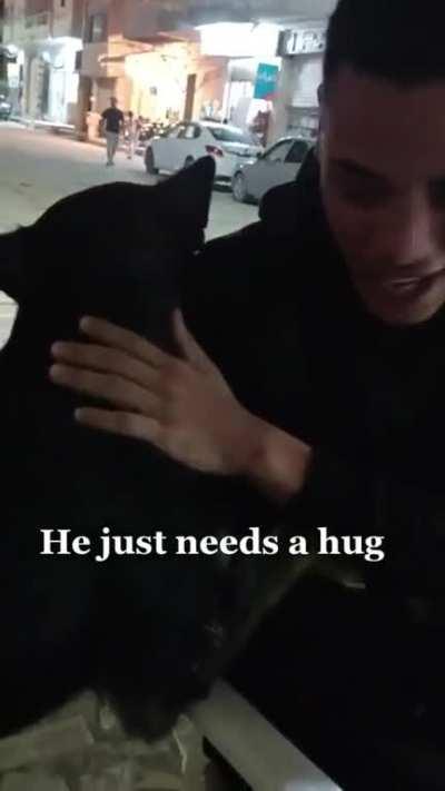 A stray dog crying and need a hug