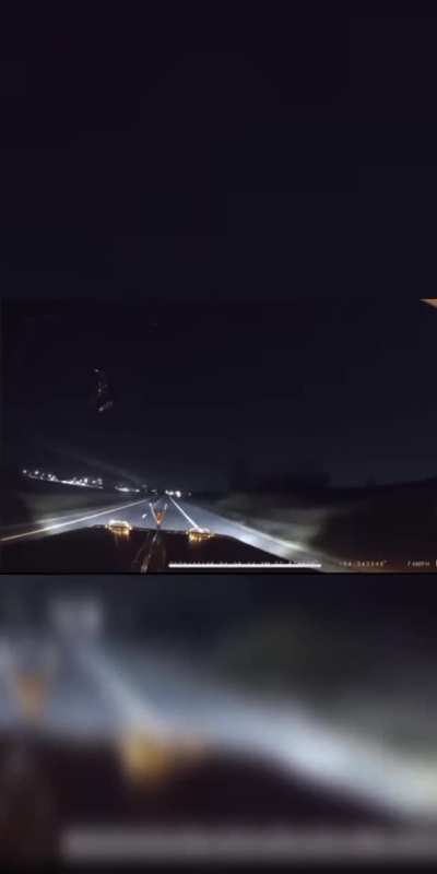 Why do deers do this?