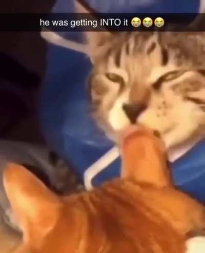 Bro got a lil too freaky