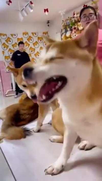 Будь здоров!