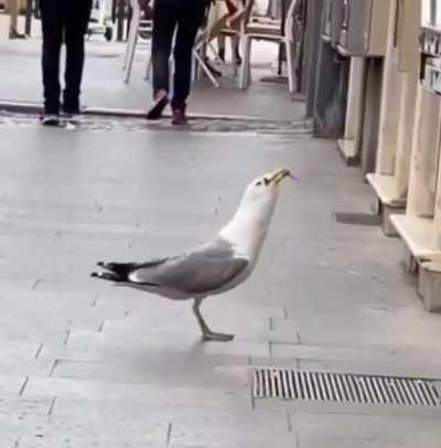 Quick snack before hitting the high seas