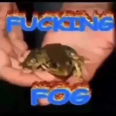 not good with titles