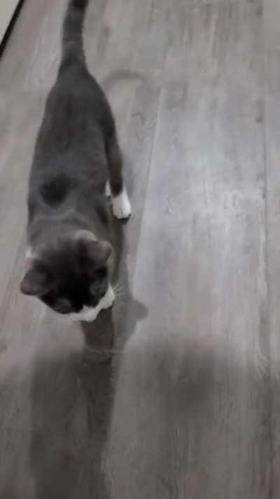 A good morning I hungry yell