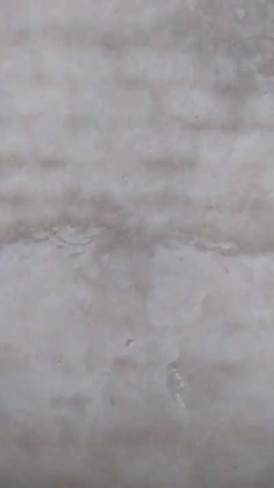 Azərbaycandan tam dəstək🇳🇨 🇹🇳