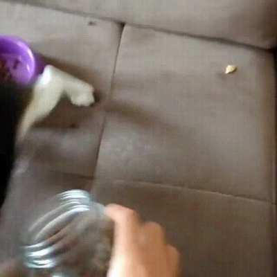 Give food now! Everything for me! I eat everything, right now!