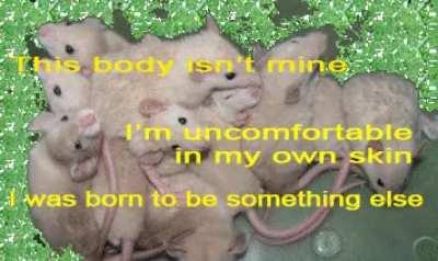 weirdcore - Video #1941