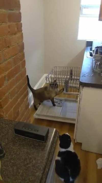 I was told to post this here 