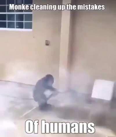 Biden re-education labor camps