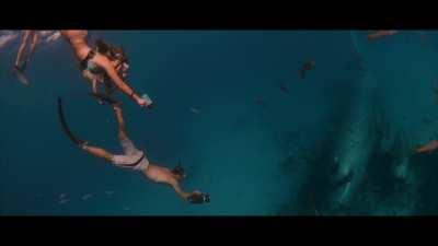 Paul Walker knew he had to get a hold of Jessica Alba’s ass