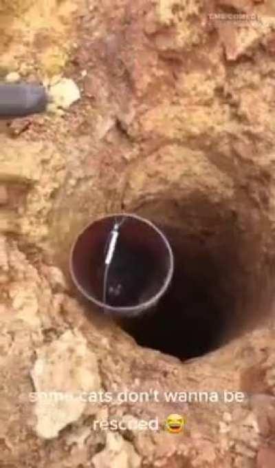 You weren’t supposed to do that