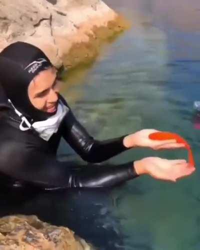 That's one weird looking dog he got there