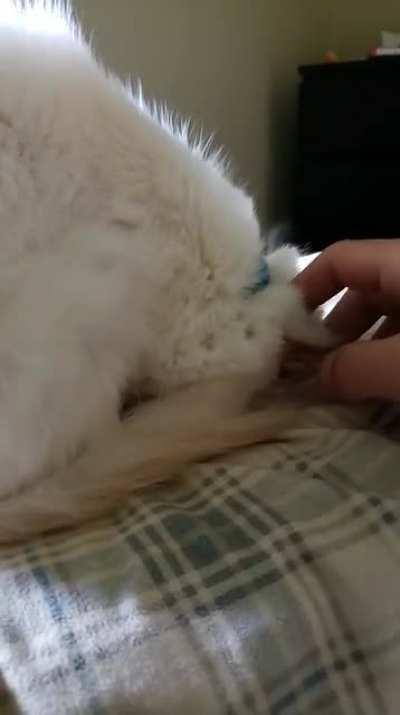 Shit, how long was I out?