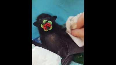 K-I-N-G V-A-M-P Yeah, that's me