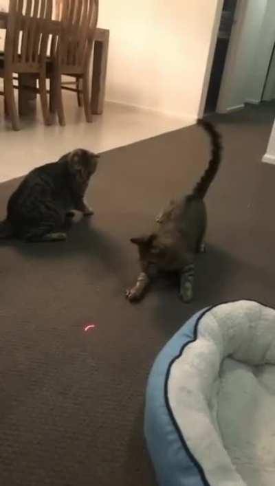 My boy is gonna be a drummer someday