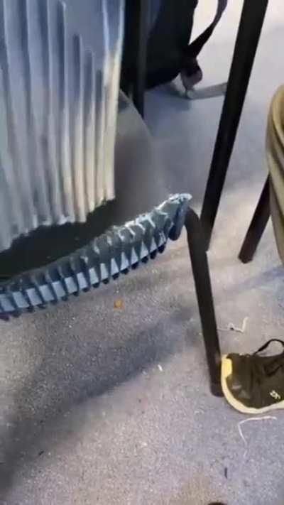 Losercity activities 