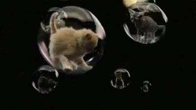 Use the Wizard to Create a New Program