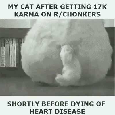 The most reddit ever reddited!!!