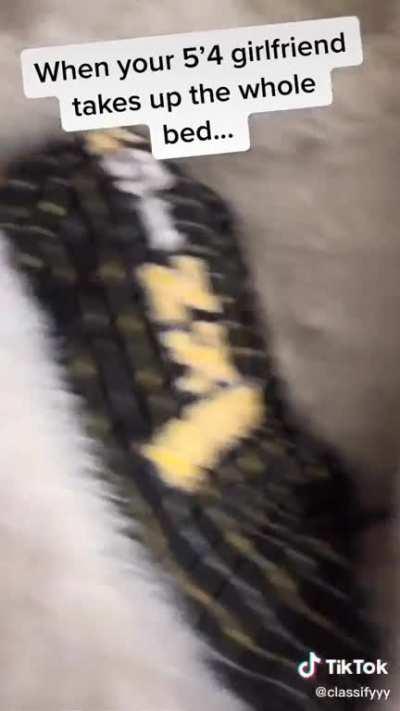 Cuando alguno de esta comunidad tenga eso llamado novia