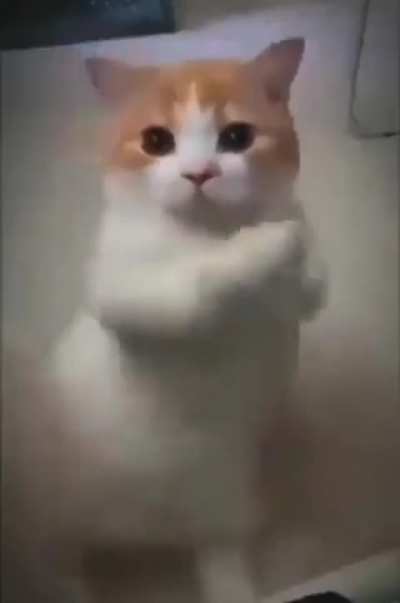 This is EXACTLY how adhd feels like