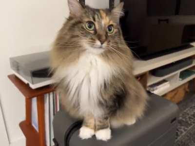 She loves to let us know she's happy we're back from a weekend trip... or upset we left in the first place