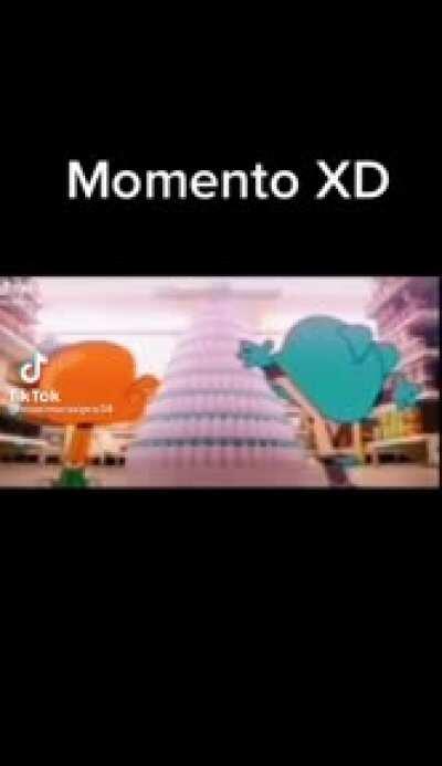 Momento XD
