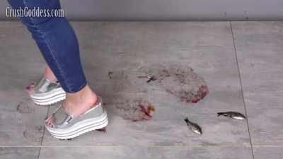 Crushing beauties 😍