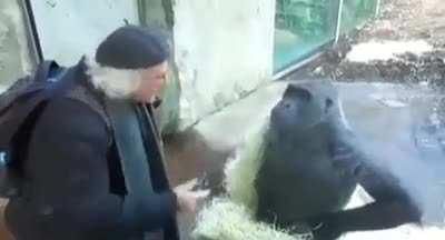 Eldar Farseer befriending a guardsmen be like